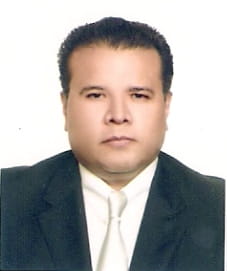 Consultor en Redprolatam